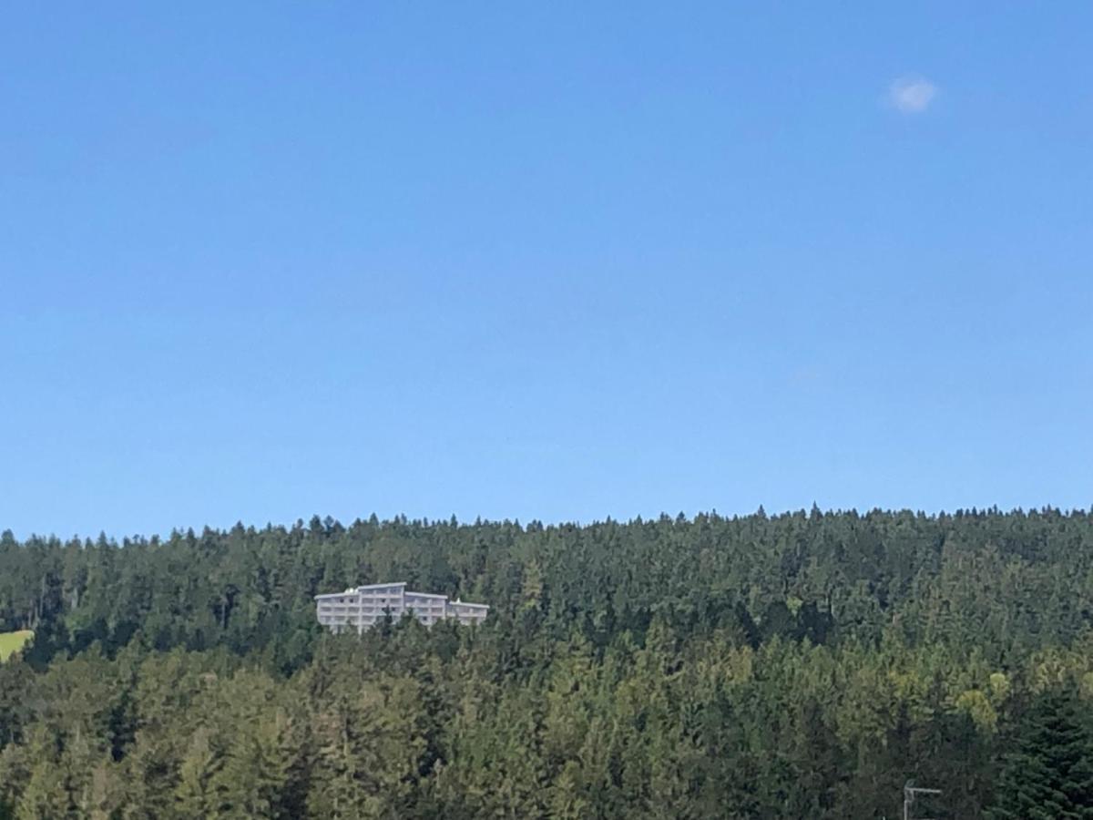 Panorama Bayerwald Apartment Neureichenau Ngoại thất bức ảnh