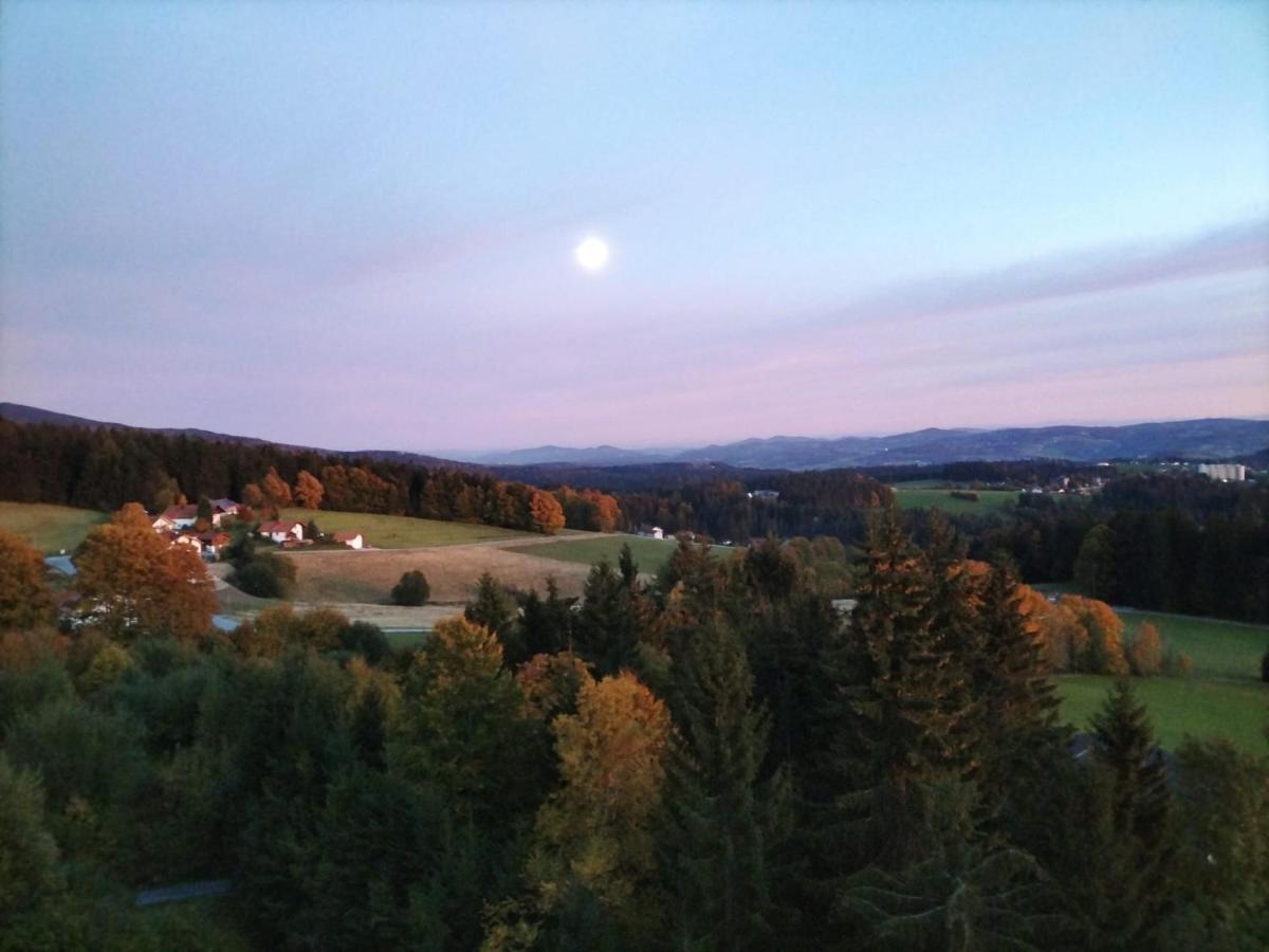 Panorama Bayerwald Apartment Neureichenau Ngoại thất bức ảnh