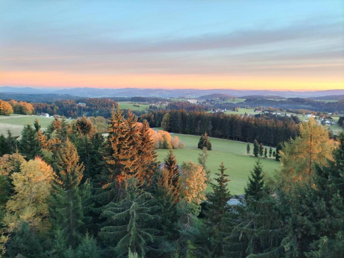 Panorama Bayerwald Apartment Neureichenau Ngoại thất bức ảnh